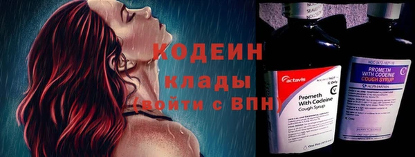 хмурый Осинники