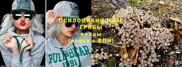 марки lsd Нязепетровск