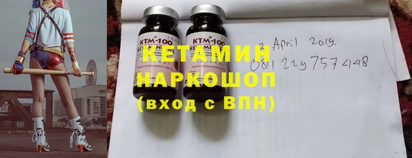 хмурый Осинники