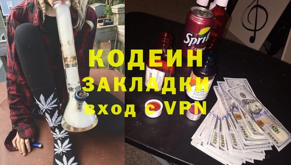 хмурый Осинники