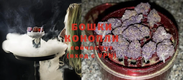прущая мука Няндома